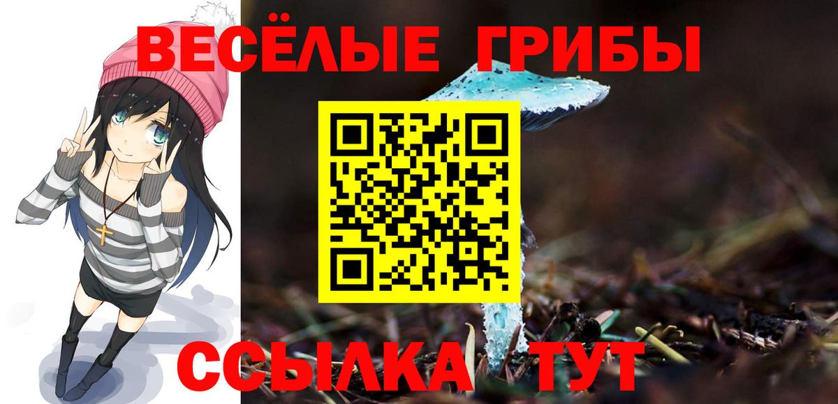хочу наркоту  Галлюциногенные грибы мицелий  Вход с VPN  Избербаш 